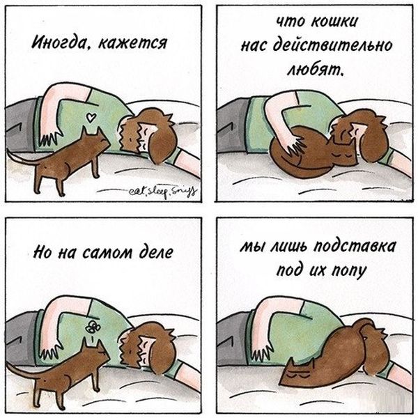 Картинки на пятницу