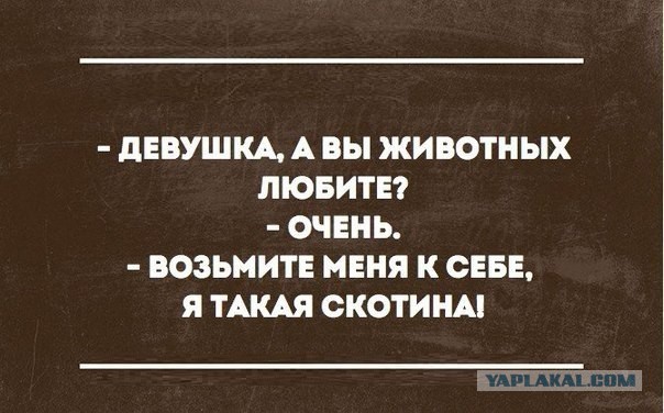 Разные картинки из сети