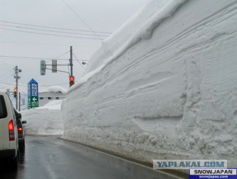 Из жизни долболобов