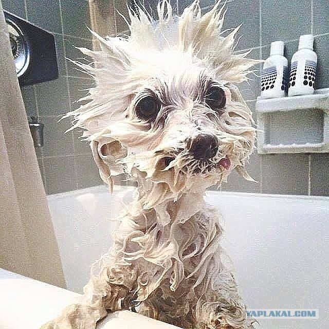 Подборка картинок