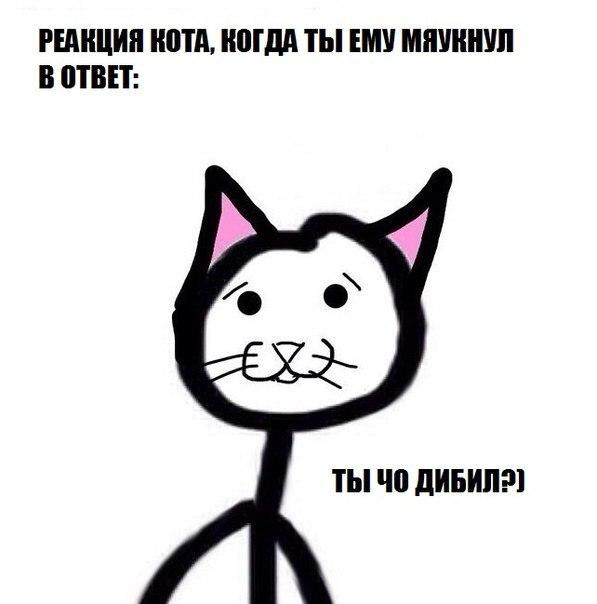 Подборка картинок из сети