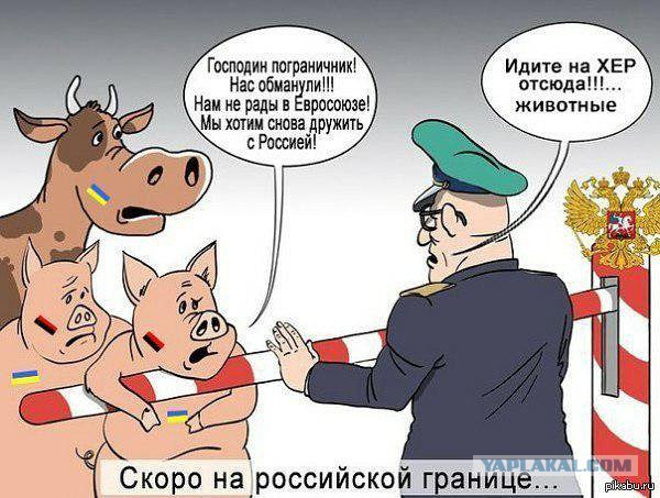 У Украины уже готовы два ответа на результаты референдума в Голландии