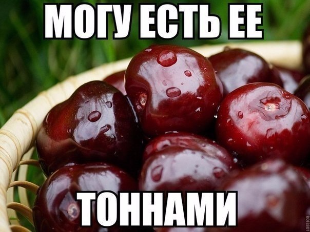 Забавные картинки из сети