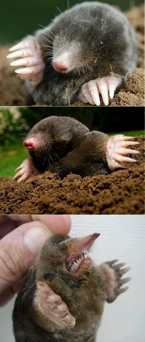 Субботняя подборочка картинок