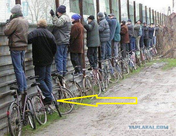 Прикольные и интересные фото