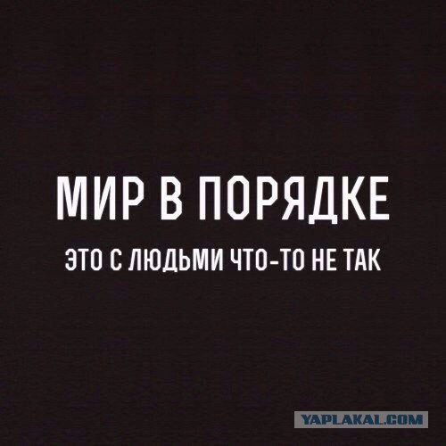 Дауны на дороге