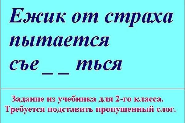 Прикольные картинки из интернета