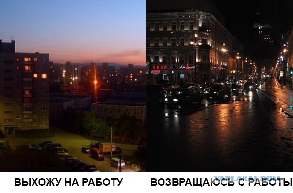 Картинки с интернетов