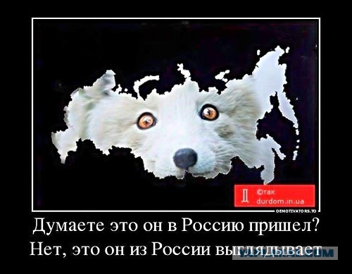 Что случится с США в случае ядерной войны с РФ