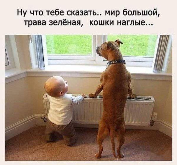 Картинки всяко-разные