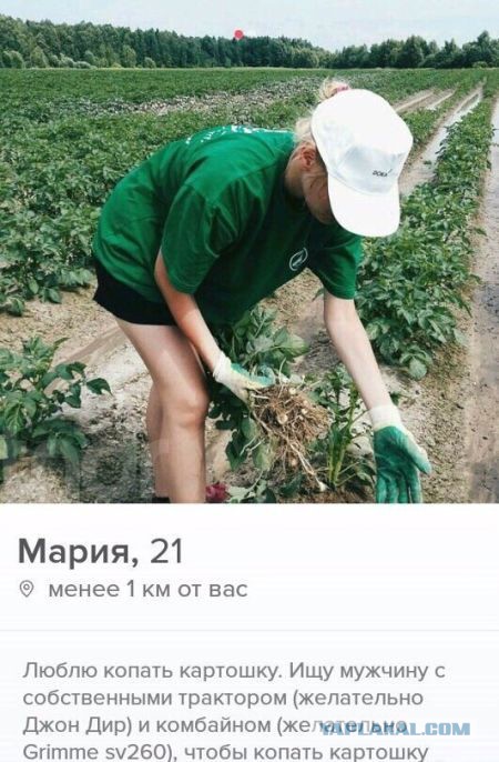 Они ищут..