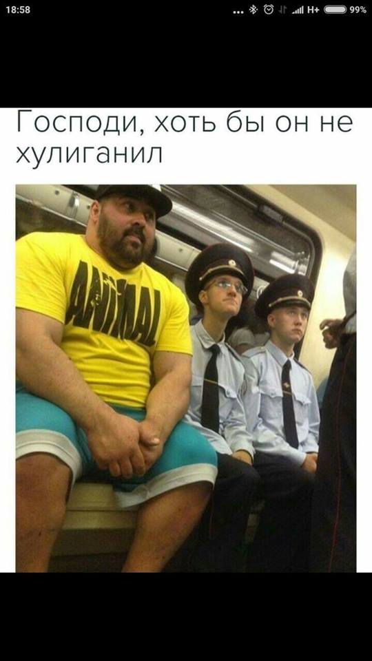В России полстраны придуривается