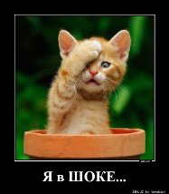Подстава мужичка с собачкой не удалась