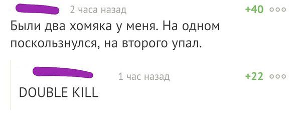 Жил у меня хомяк