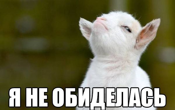 Права всеми забытого пола