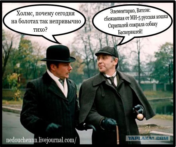Смешные комментарии из социальных сетей 20.07.2018
