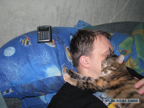 Котовторник (28.02.2012)