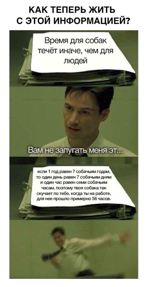 Немного аморального юмора в пятницу