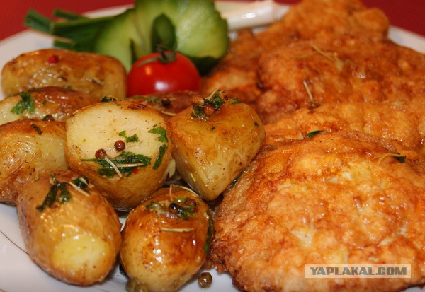 ЯПлакалус организмус