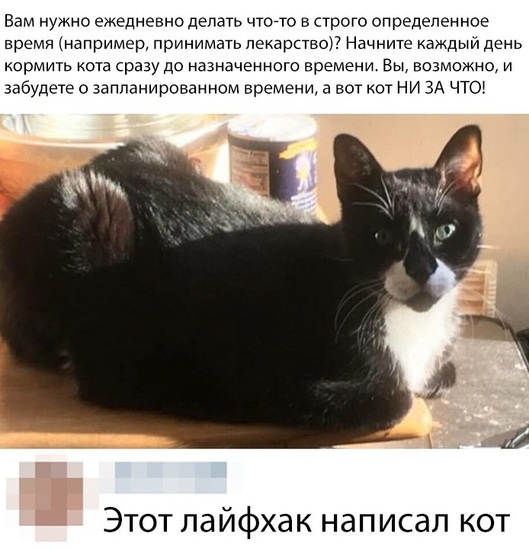 Разные и без темы