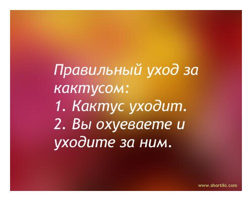Картинки с претензией на юмор. Старые - 6
