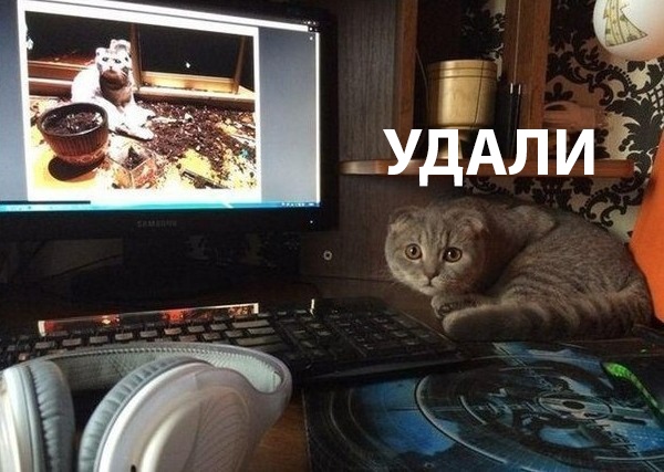 Бредзона 10.01.2020