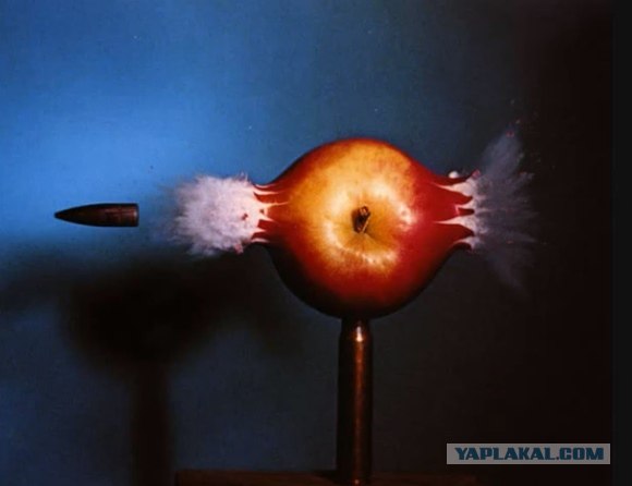 Фотокамера за 250 000$