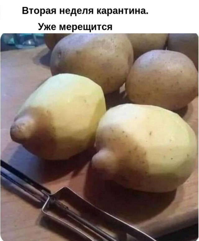 Что делать если у мужа не стоит. 10 причин и личный опыт лечения