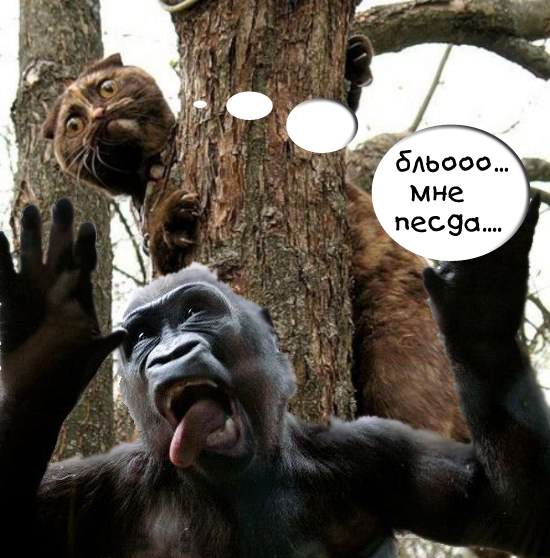 Фотожаба: Знатный Зверюга