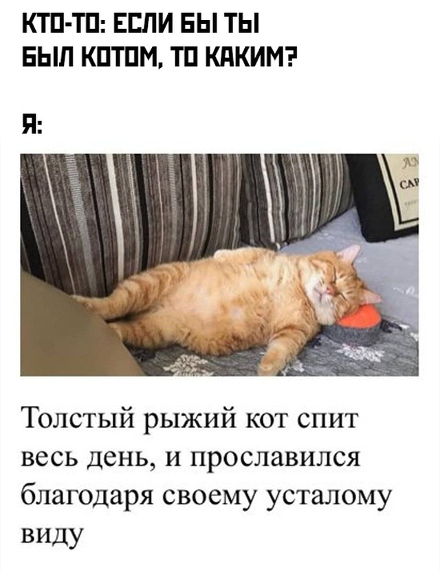Прикольные и просто красивые картинки 02.10.2020