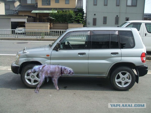 Фотожаба: Почините мой автомобиль!