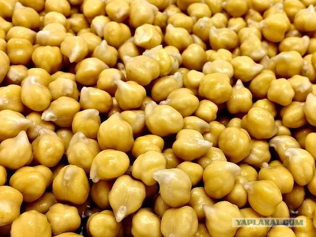 Мясо, которое любит тишину.