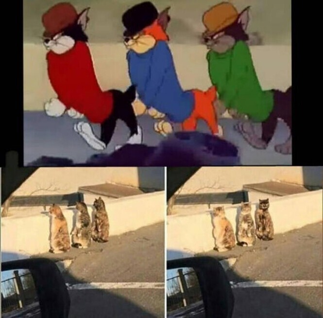 включи они существуют. включи они существуют. самые страшные монстры в реальной жизни. миньоны в реальной жизни существуют. включи они существуют.