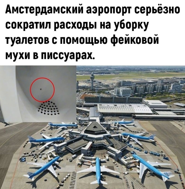Так себе картинки 29.08.21