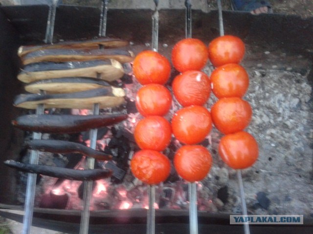 Дача, грибы, мясо, овощи.