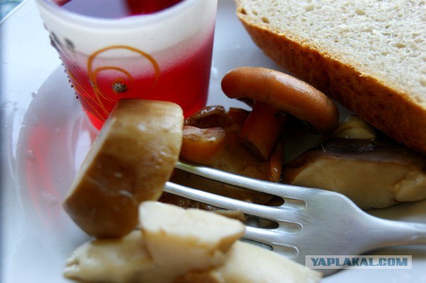 Осень в банках