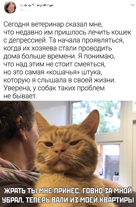 Весёлый полтишок 22.10
