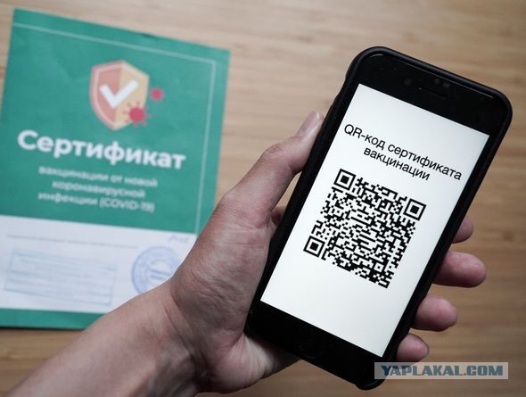 Раскрыты детали и сроки введения QR-кодов по всей России