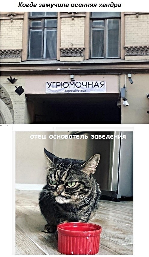 Баяны бабыЯны