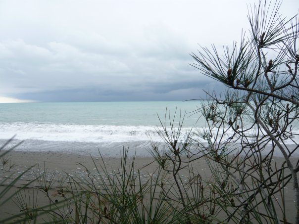 Абхазия. 17 лет после войны