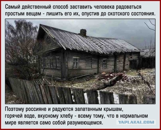 В Петербурге неизвестный разбросал по Невскому проспекту листовки с «преступлениями Путина»