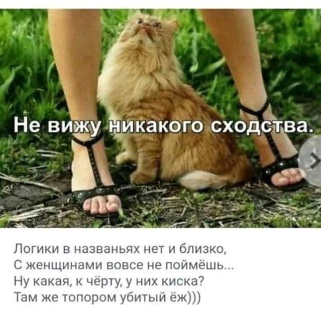 Чуток картинок 16.02.22