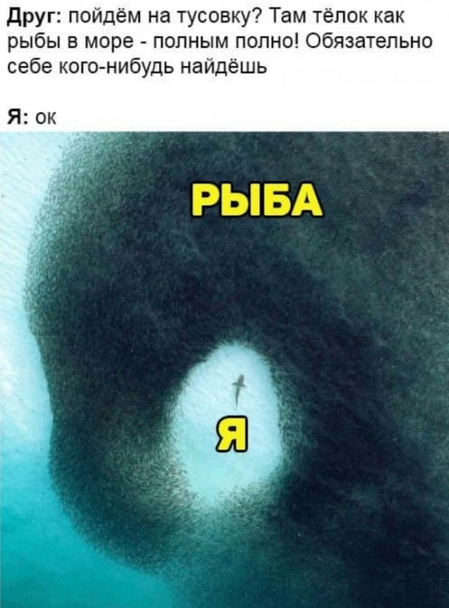 Так себе картинки 29.03.22