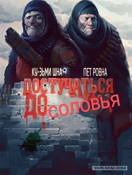 ФСБ задержала группу членов неонацистской террористической организации, планировавших убийство Соловьева