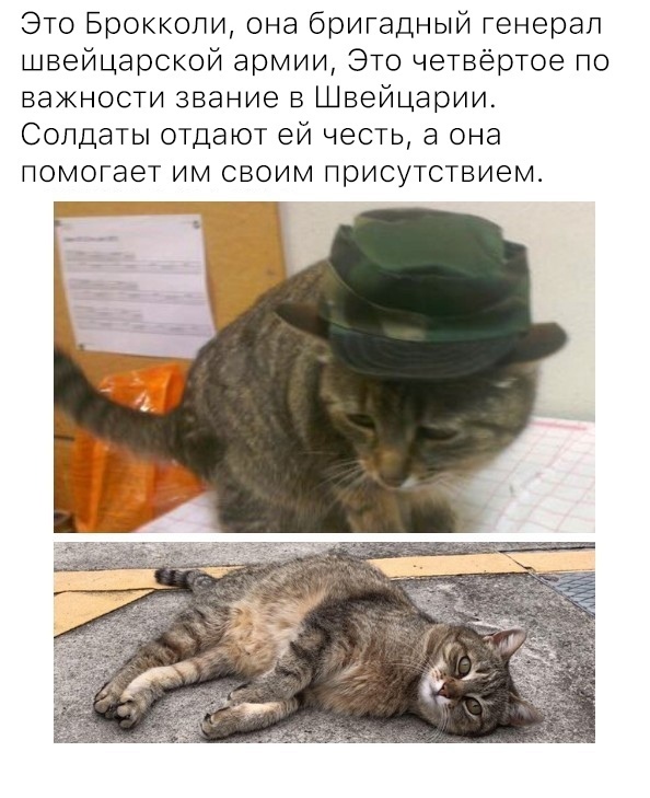 Так себе картинки 27.04.22