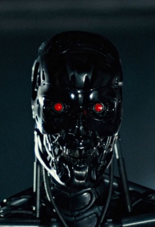 Т-800 и СИБЗ