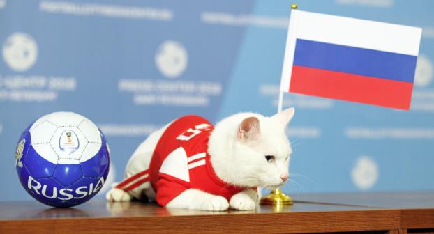 Чтобы ещё запретить? А давайте дневники с котиками на обложках