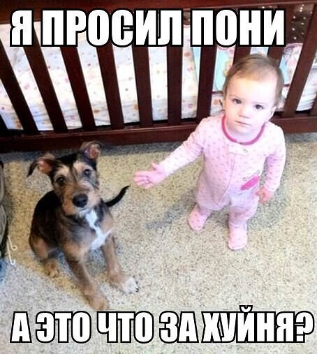 Народная меДИЧина 6008