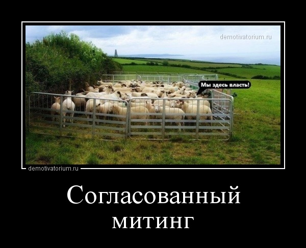 Совфед одобрил закон о запрете митингов у зданий органов власти и церквей