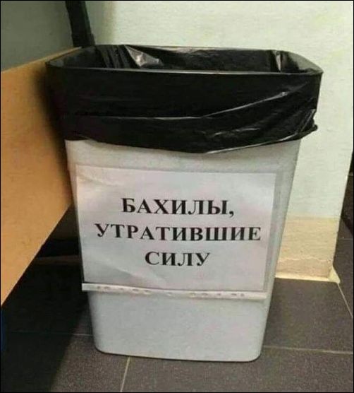 Перлы 10.12.22